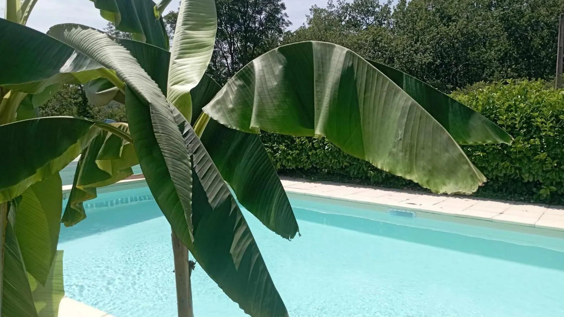 Gite Perigord Rocamadour Sarlat Naturiste De Mi Mai A Septembre Salviac